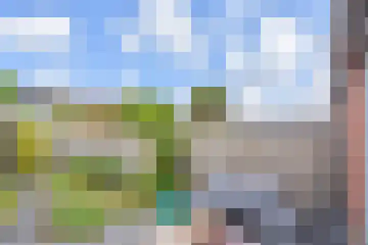 Hans Larivelaan 70 Den Haag thumbnail 31