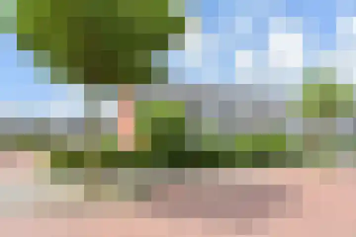 Hans Larivelaan 70 Den Haag thumbnail 7