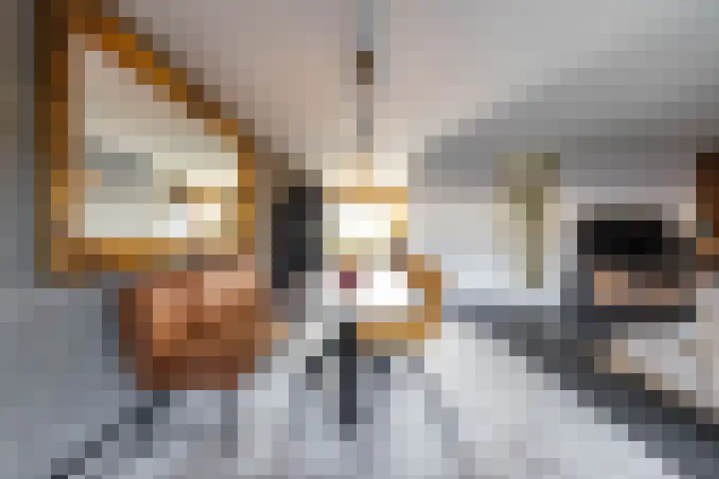 Hans Lodeizenstraat 26 Groningen thumbnail 10