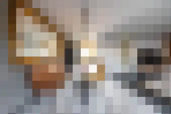 Hans Lodeizenstraat 26 Groningen thumbnail 10