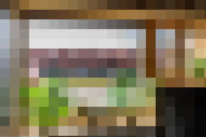 Hans Lodeizenstraat 26 Groningen thumbnail 12