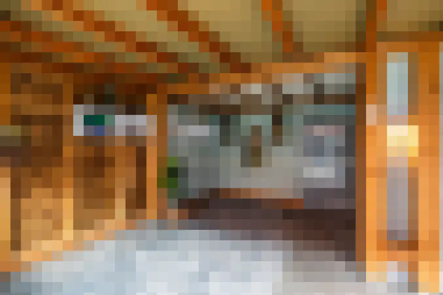 Hans Lodeizenstraat 26 Groningen thumbnail 17