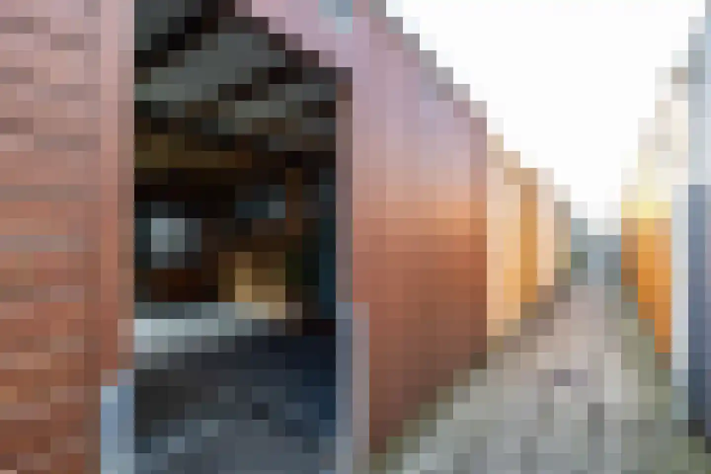Hans Lodeizenstraat 26 Groningen thumbnail 18