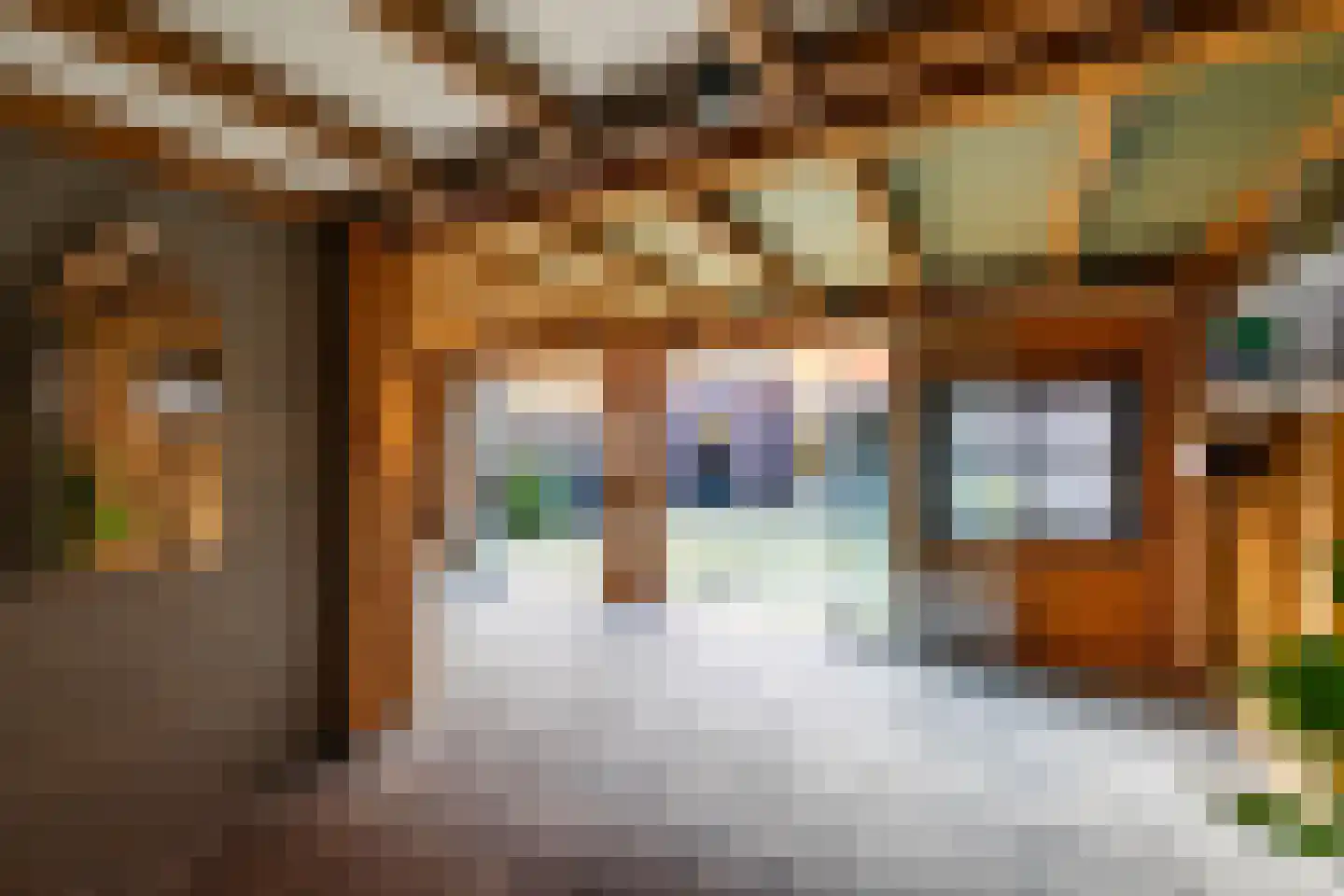 Hans Lodeizenstraat 26 Groningen thumbnail 19