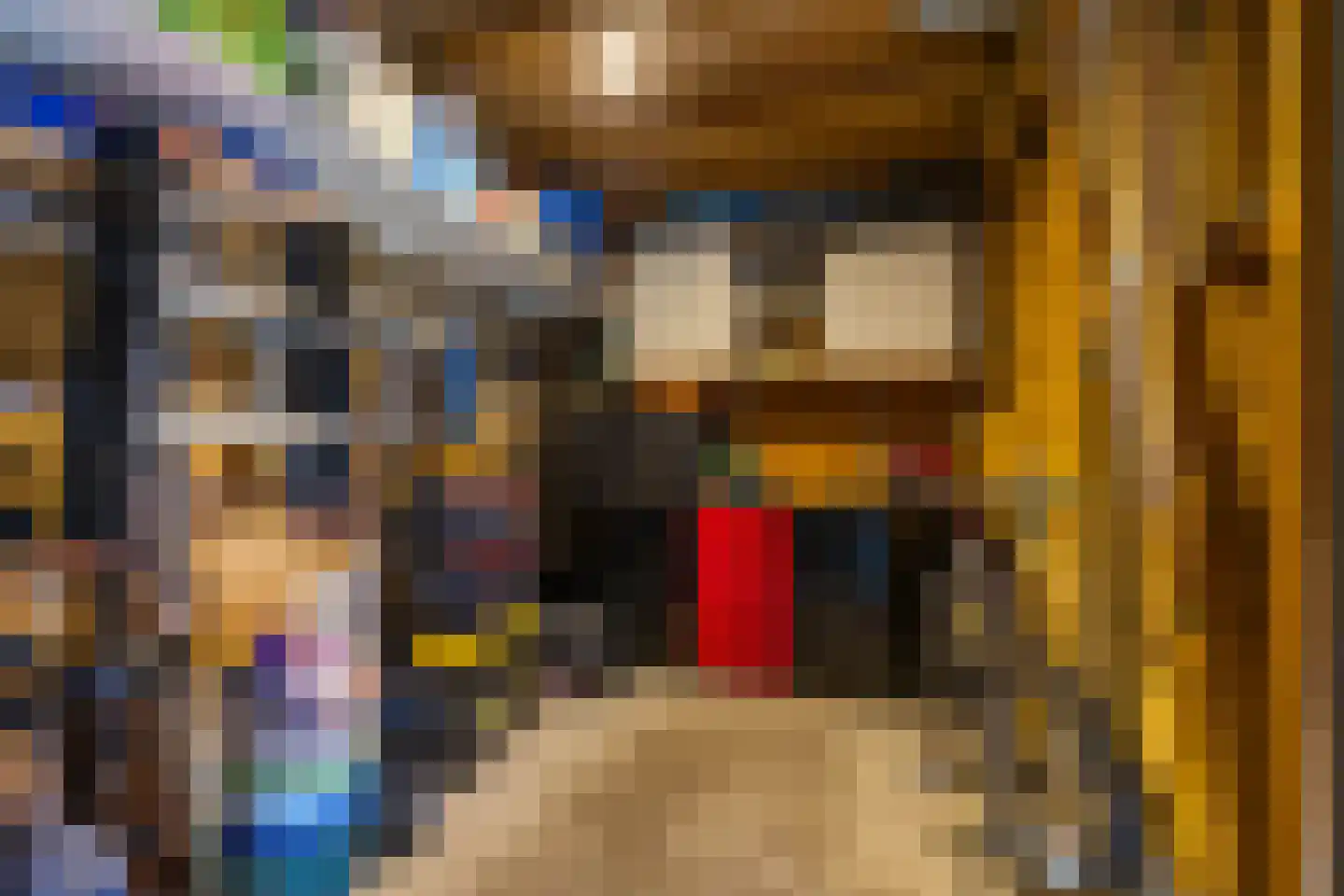 Hans Lodeizenstraat 26 Groningen thumbnail 21