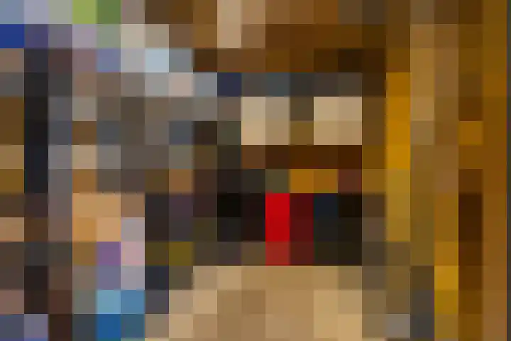 Hans Lodeizenstraat 26 Groningen thumbnail 21