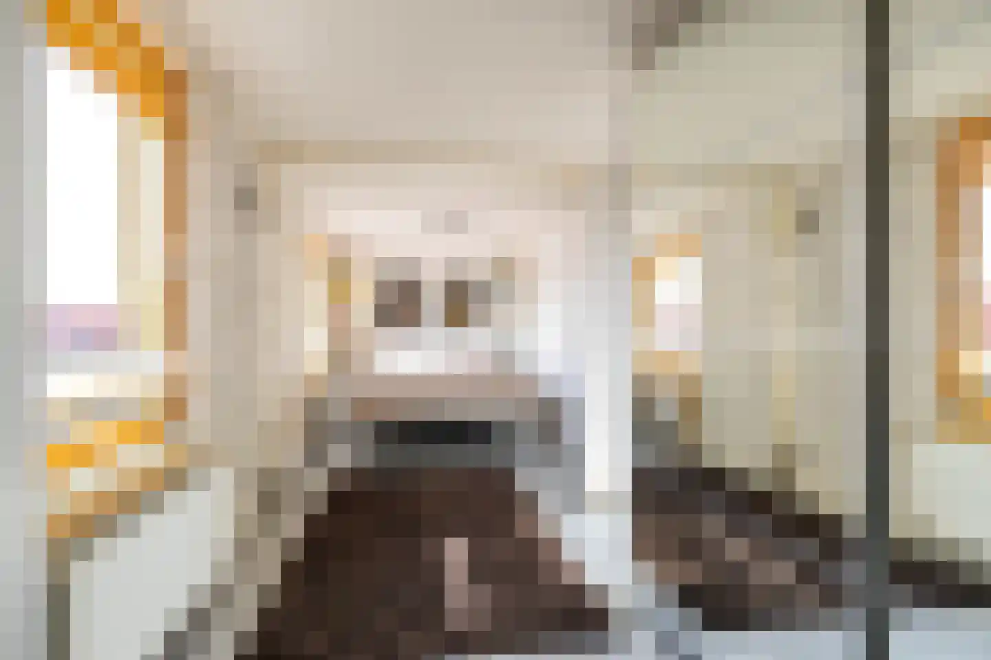 Hans Lodeizenstraat 26 Groningen thumbnail 26