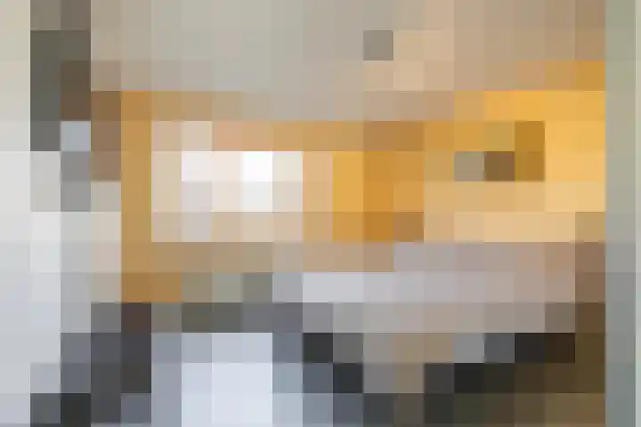Hans Lodeizenstraat 26 Groningen thumbnail 31