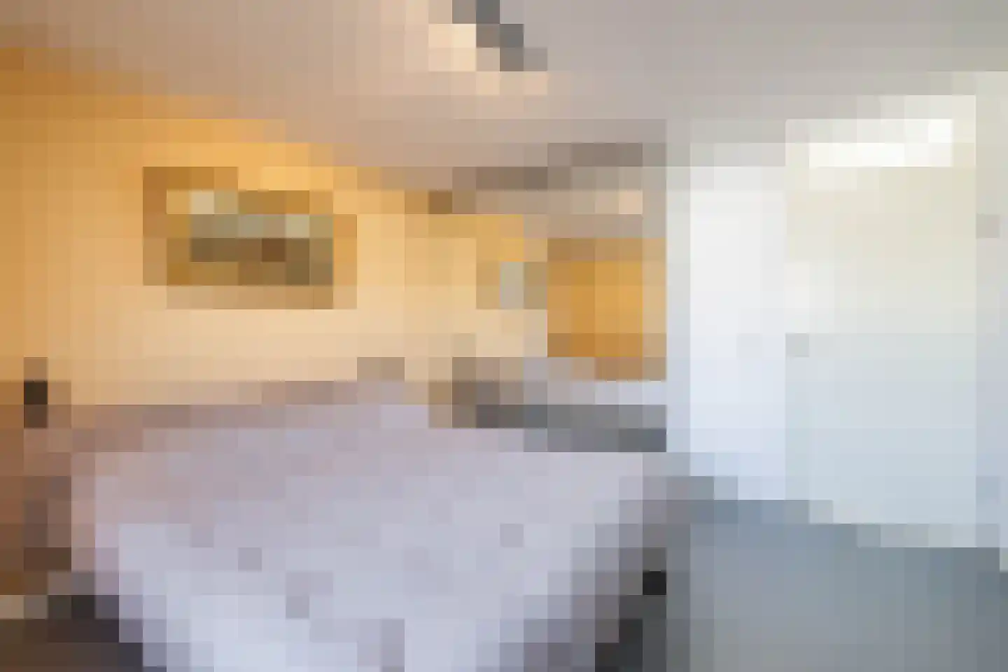Hans Lodeizenstraat 26 Groningen thumbnail 32