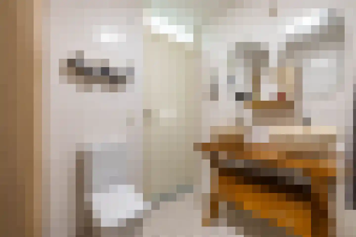Hans Lodeizenstraat 26 Groningen thumbnail 35