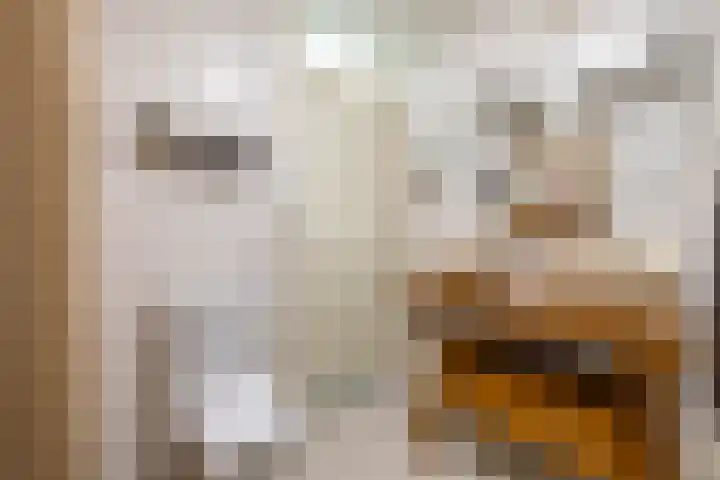 Hans Lodeizenstraat 26 Groningen thumbnail 35