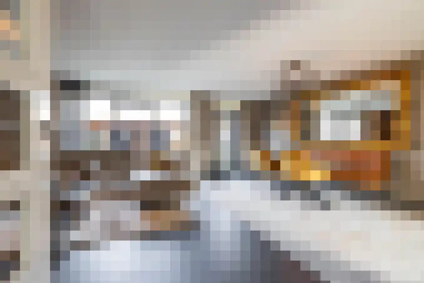Hans Lodeizenstraat 26 Groningen thumbnail 7