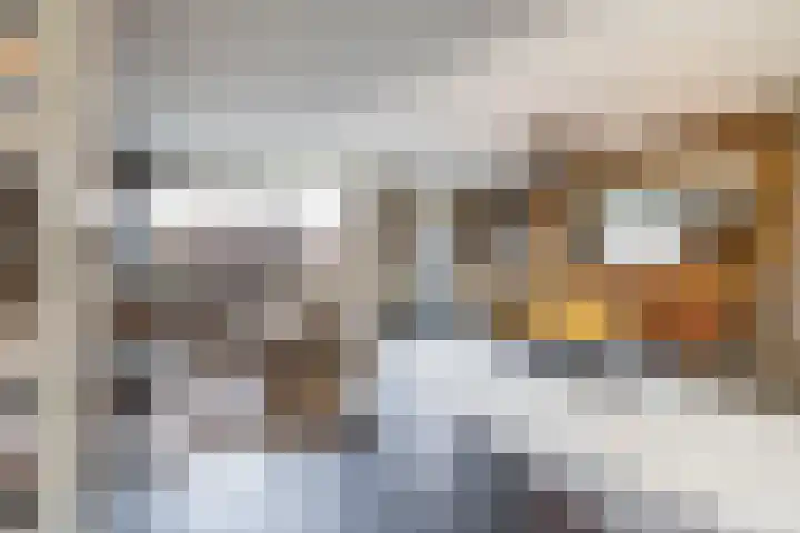 Hans Lodeizenstraat 26 Groningen thumbnail 7