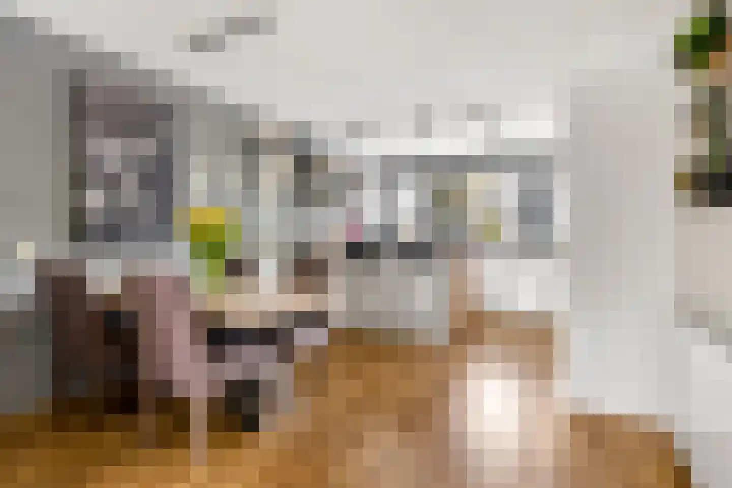 Hans Lodeizenstraat 55 Almere thumbnail 20