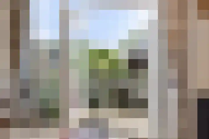 Hans Lodeizenstraat 64 Almere thumbnail 5