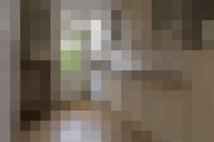 Hans Memlincstraat 2 Kaatsheuvel thumbnail 10