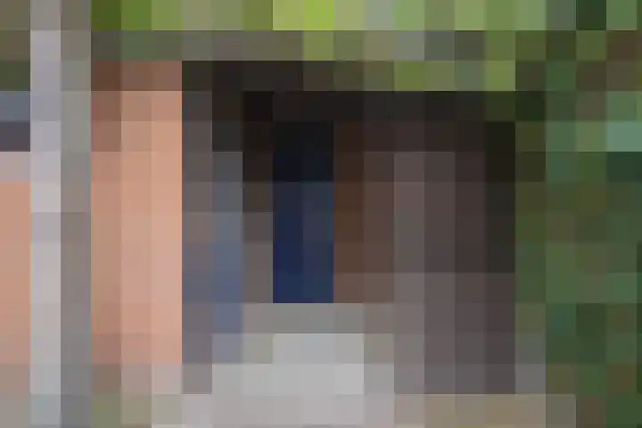 Hans Memlincstraat 2 Kaatsheuvel thumbnail 4