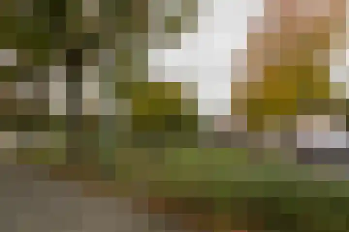 Hans Memlincstraat 2 Kaatsheuvel thumbnail 5