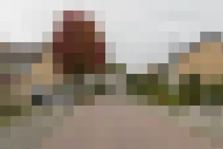 Hans Memlincstraat 2 Kaatsheuvel thumbnail 6