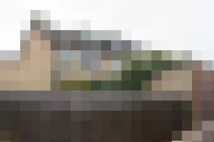 Hans Memlincstraat 2 Kaatsheuvel thumbnail 7