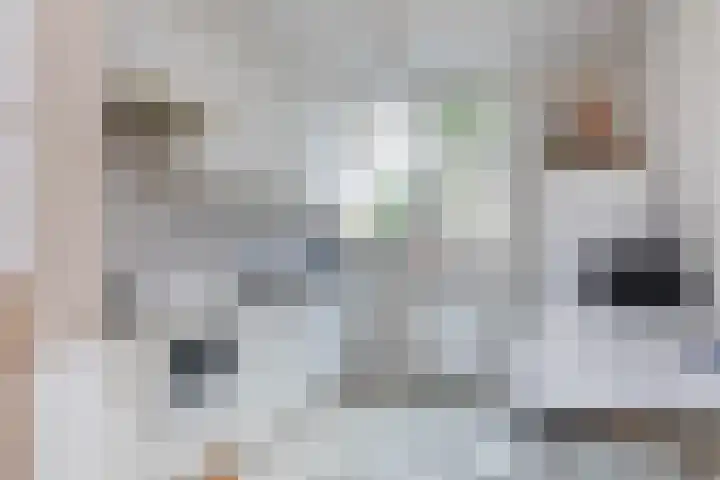 Hans Memlinglaan 107 Bilthoven thumbnail 13