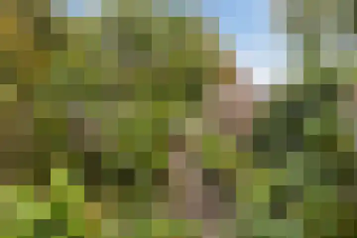 Hans Memlinglaan 107 Bilthoven thumbnail 26