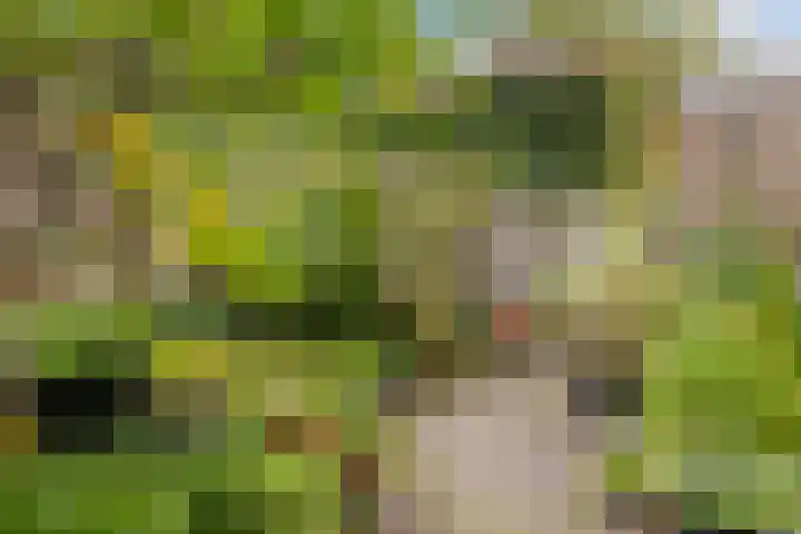 Hans Memlinglaan 107 Bilthoven thumbnail 27