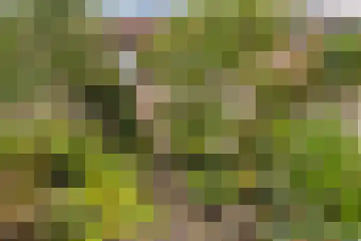Hans Memlinglaan 107 Bilthoven thumbnail 28