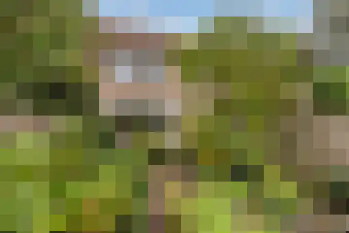 Hans Memlinglaan 107 Bilthoven thumbnail 29