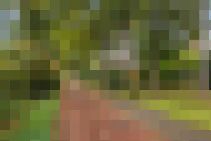 Hans Memlinglaan 107 Bilthoven thumbnail 31