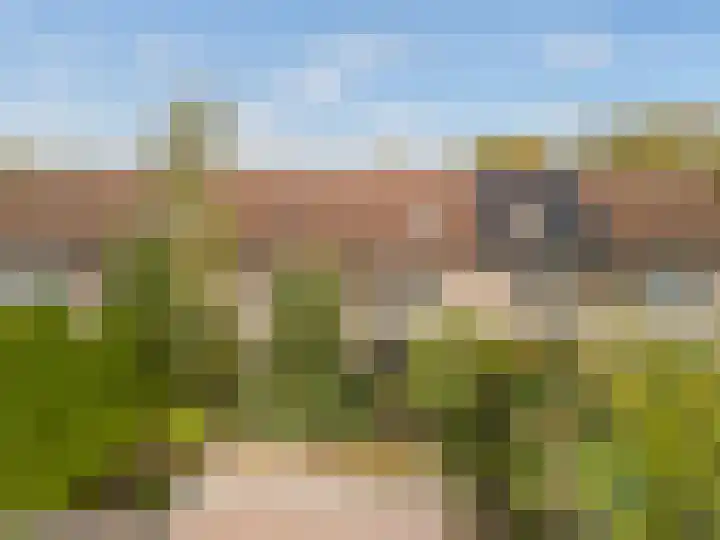 Hans Memlinglaan 107 Bilthoven thumbnail 32