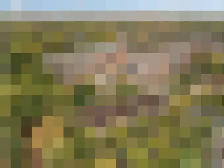 Hans Memlinglaan 107 Bilthoven thumbnail 33