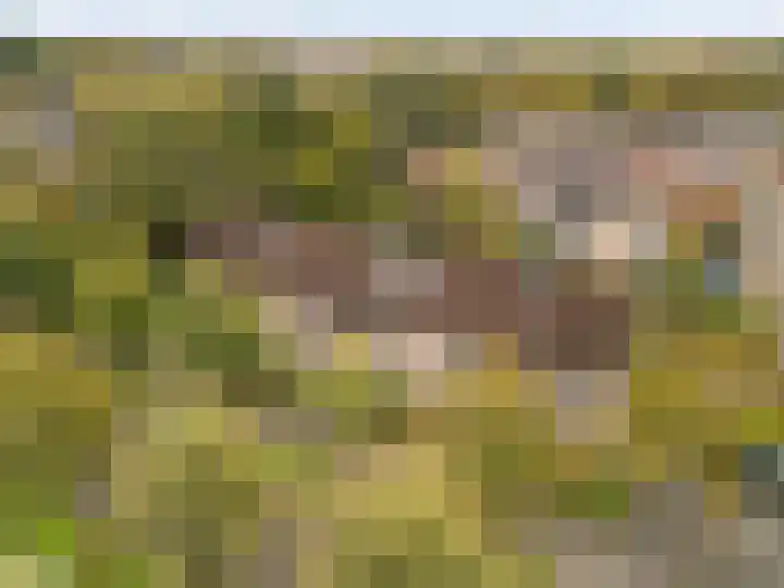 Hans Memlinglaan 107 Bilthoven thumbnail 34