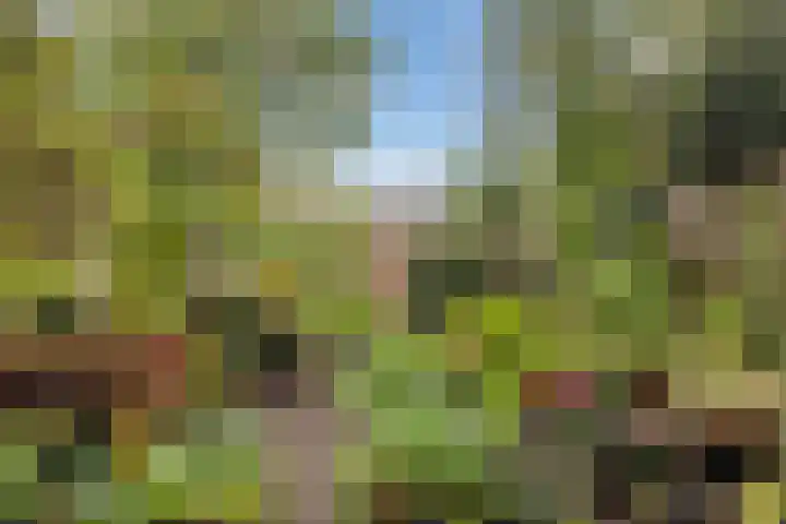 Hans Memlinglaan 107 Bilthoven thumbnail 5