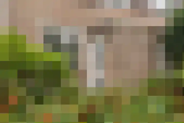Hans Memlinglaan 107 Bilthoven thumbnail 6