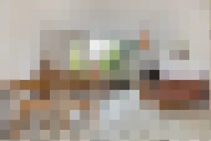 Hans Memlinglaan 107 Bilthoven thumbnail 8