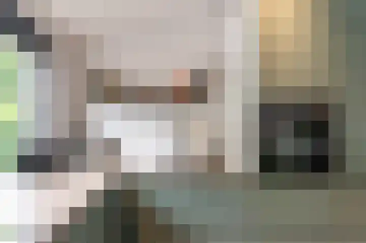 Hans Memlinglaan 8 Bilthoven thumbnail 10