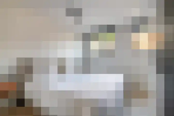 Hans Memlinglaan 8 Bilthoven thumbnail 11