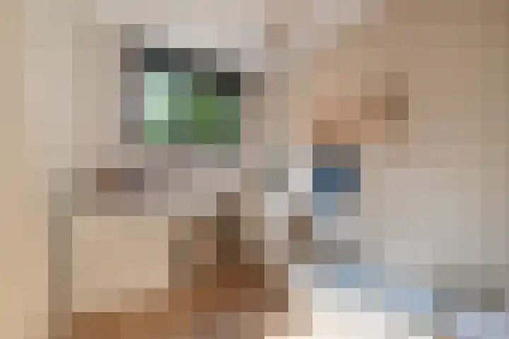 Hans Memlinglaan 8 Bilthoven thumbnail 13