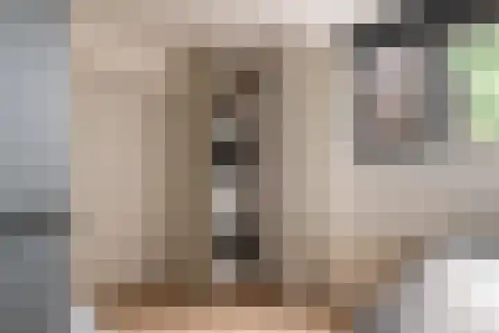 Hans Memlinglaan 8 Bilthoven thumbnail 14