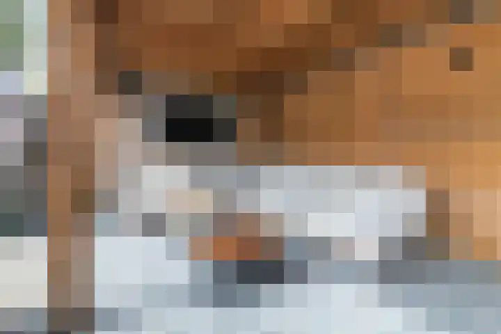 Hans Memlinglaan 8 Bilthoven thumbnail 24