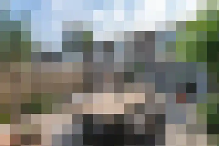 Hans Memlinglaan 8 Bilthoven thumbnail 25