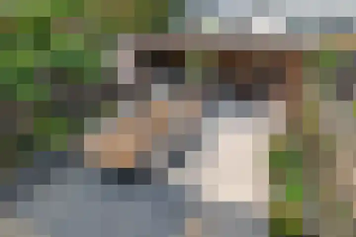 Hans Memlinglaan 8 Bilthoven thumbnail 26