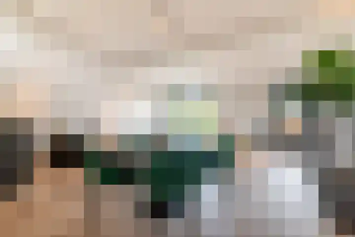 Hans Memlinglaan 8 Bilthoven thumbnail 5