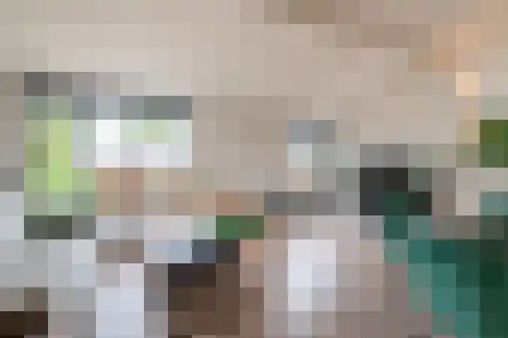 Hans Memlinglaan 8 Bilthoven thumbnail 7