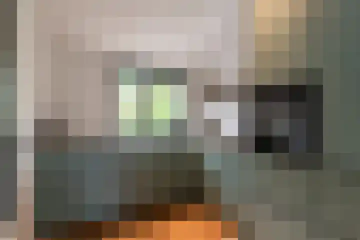 Hans Memlinglaan 8 Bilthoven thumbnail 9