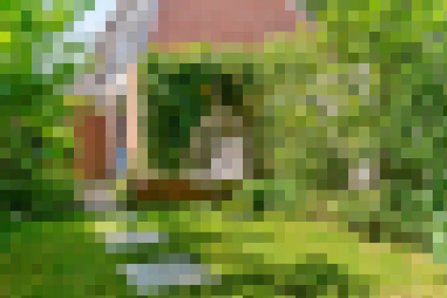 Hans Memlinglaan 95 Bilthoven thumbnail 26