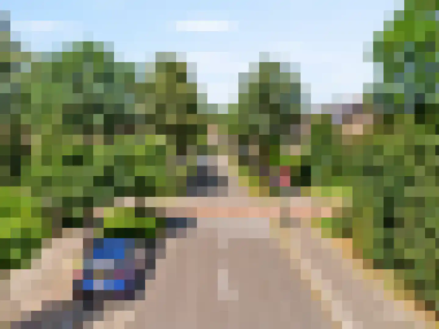 Hans Memlinglaan 95 Bilthoven thumbnail 29