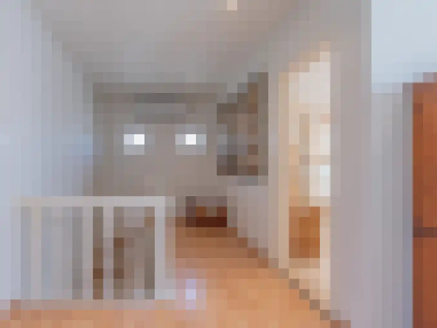 Hans Memlingstraat 3680 Maaseik Papendrecht thumbnail 8