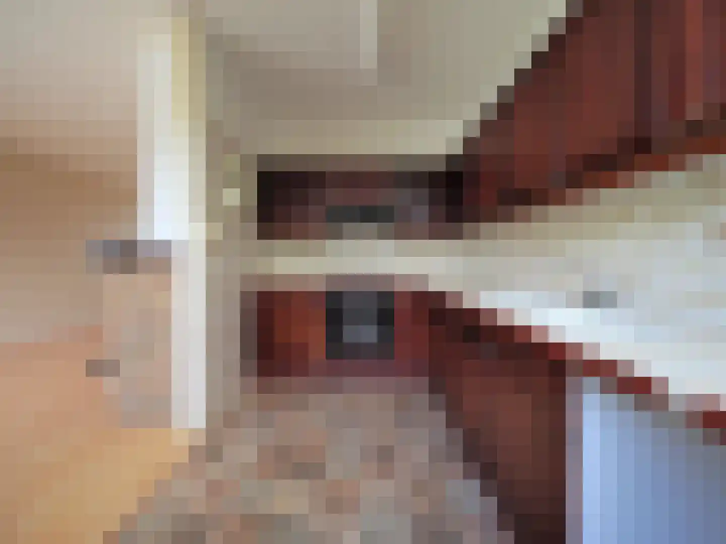 Hans Memlingstraat 8 Papendrecht thumbnail 14
